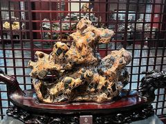 -烟台自然博物馆