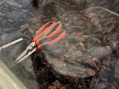 -都士牧人现烤牛肉干