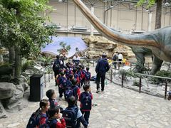 -国家自然博物馆