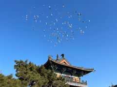-广佑寺风景区