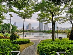 景点-白鹭洲公园