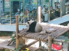 -大连森林动物园