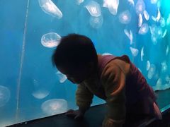 -重庆欢乐海底世界