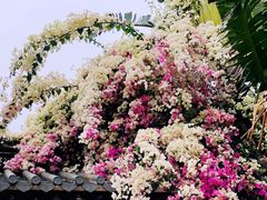 -深圳国际园林花卉博览园