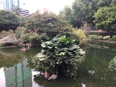 -九龙公园