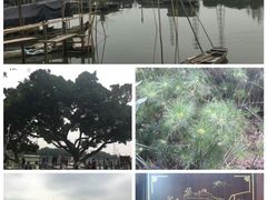 -黄埔古港