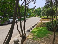 -铁山坪森林公园