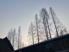 -一尺花园(安和花园店)