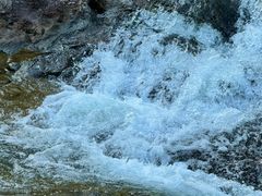 -广州白江湖森林公园