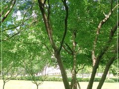 -陆家嘴中心绿地