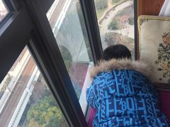 -新湖明珠城