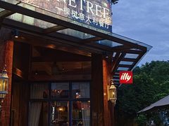 -一棵树·意大利西餐厅One Tree(新城店)