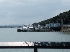 -大湾区中央湿地公园-十九涌
