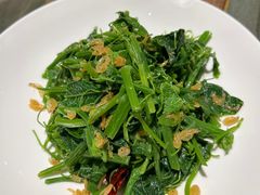 -石家庄万象城