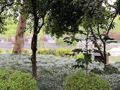 -星巴克(西湖天地店)