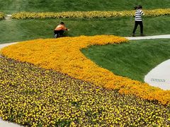 -南通洲际绿博园