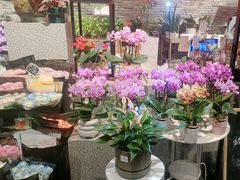 -豆豆花艺(新光天地店)