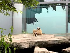 -仲盛世界商城
