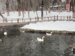 -水磨沟公园