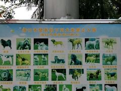 -万绿园