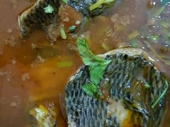 -风鑫铃罗非鱼(道沟店)