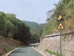 -苏州上方山国家森林公园