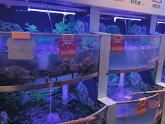 -七欣天香辣蟹火锅(南京建宁路大观天地店)