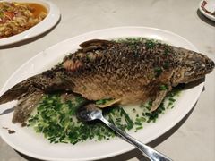 葱油鱼-粤北餐馆