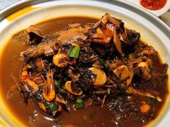 红烧海朋友鱼-侬佳蒸菜馆(听潮店)
