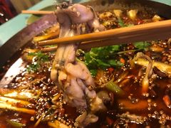 -鸿顺老铁锅美蛙鱼府(解放碑店)