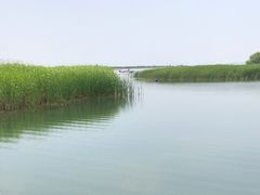 -太湖湖滨国家湿地公园-停车场