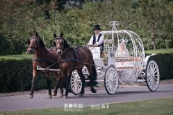 -美薇亭婚礼顾问