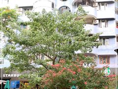 -星巴克(深圳侨城街店)