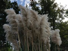 -同里国家湿地公园