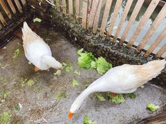 -茅草房·河畔园林火锅