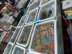 -先锋海鲜市场
