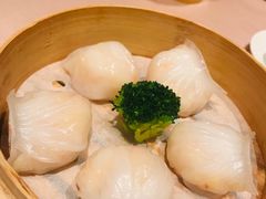 -陶陶居海鲜酒家(新马路店)