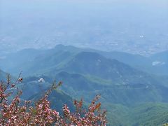 -泰山风景名胜区