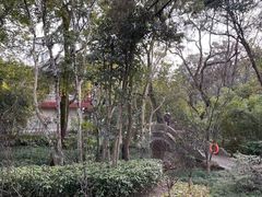 -汇龙潭
