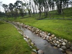 -白鹭湾湿地公园