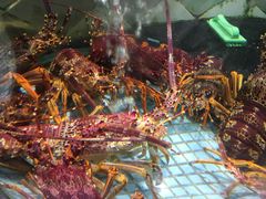 -新海利海鲜城·41年珠海老字号(夏湾店)