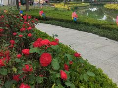 -歌斐颂巧克力小镇