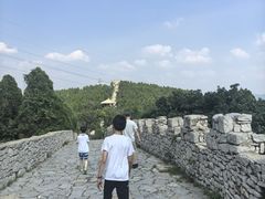 -原山国家森林公园