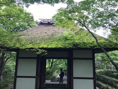 -常寂光寺