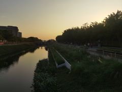 -福田红树林生态公园
