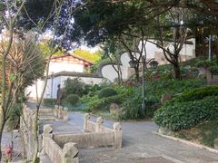 -乌山风景区