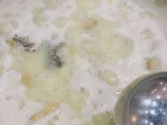 鲍鱼花胶鸡-金龙·打边炉(武进路店)