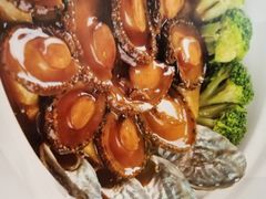 大连鲜鲍鱼-渝信川菜(工体店)