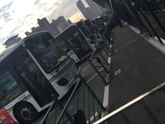 -上海旅游集散中心(万体站)