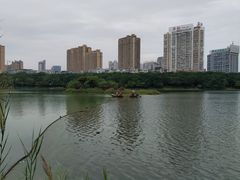 -南宁南湖公园